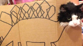 Bete deh mukanya. (Foto: sadanduseless)