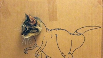 Dinokucing. (Foto: sadanduseless)