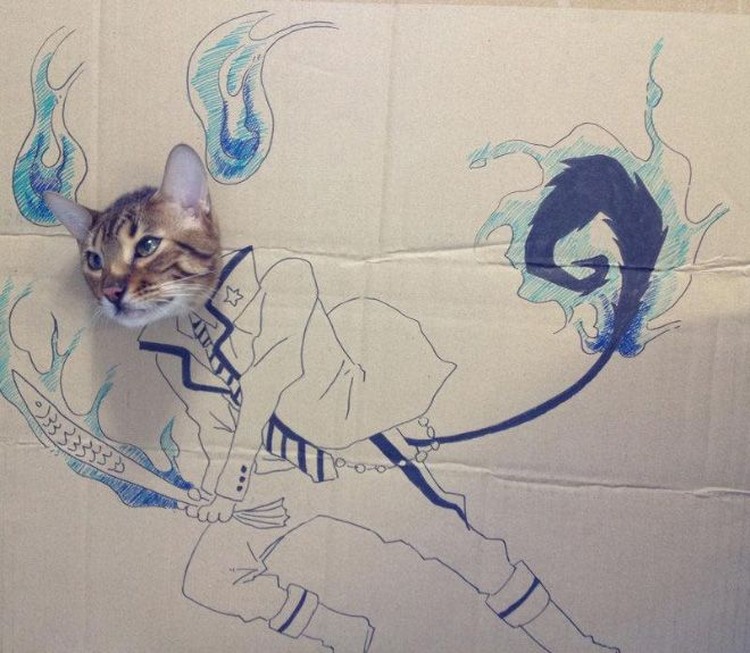 kucing cardboard