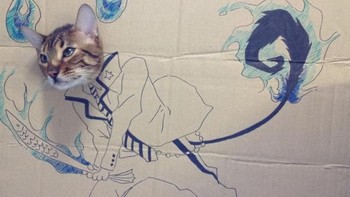 Beraksi dengan pedang ikan. (Foto: sadanduseless)