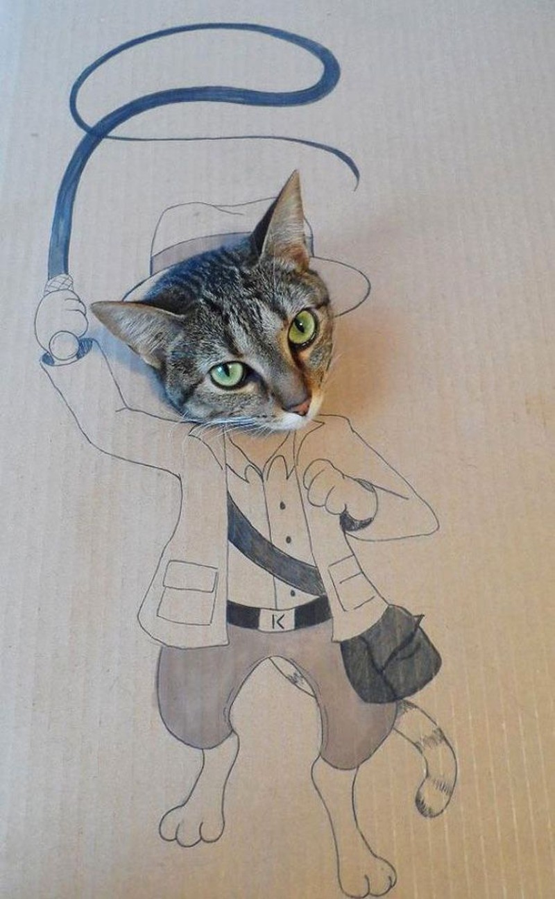 kucing cardboard