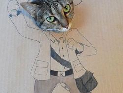 Kocak! Ketika Kucing Dipadu dengan Gambar di Kardus