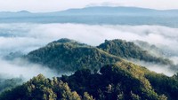 Seperti Negeri di Atas Awan, mungkin itu ungkapan yang tepat untuk menggambarkan bukit cantik bernama Bukit Doro Wadu Nae ini (Selly Zaenab/Istimewa)