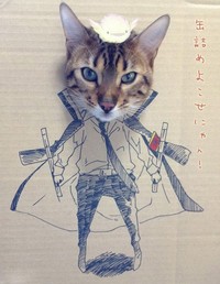 kucing cardboard