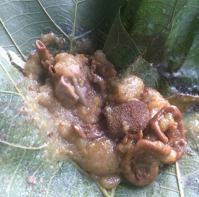 10 Makanan Wonogiri yang Ndeso Tapi Bikin Ketagihan Enaknya