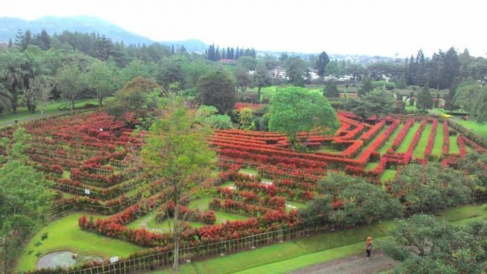 Berbunga Bunga Di Taman Bunga Nusantara