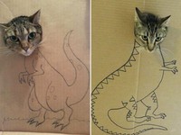 kucing cardboard