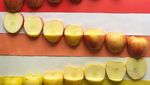 Artistik! 10 Makanan Ini Ditata Dalam Gradasi Warna