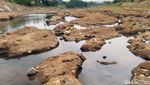 Penampakan Dasar Sungai Citanduy yang Mengering