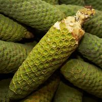 Mirip Nanas dan Pisang, Buah Misterius Ini Tengah Viral