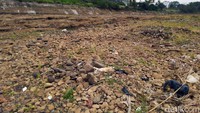 Selain bebatuan, terlihat juga banyak sampah plastik, sampah rumah tangga dan sampah ranting dan batang kayu berserakan. Sebagian dasar sungai juga nampak telah tumbuh rerumputan.
