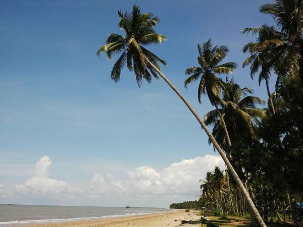 Potret Objek Wisata di Penajam Paser Utara, Calon Ibu Kota Negara