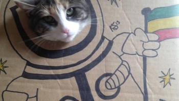 Bergaya astronot. (Foto: sadanduseless)