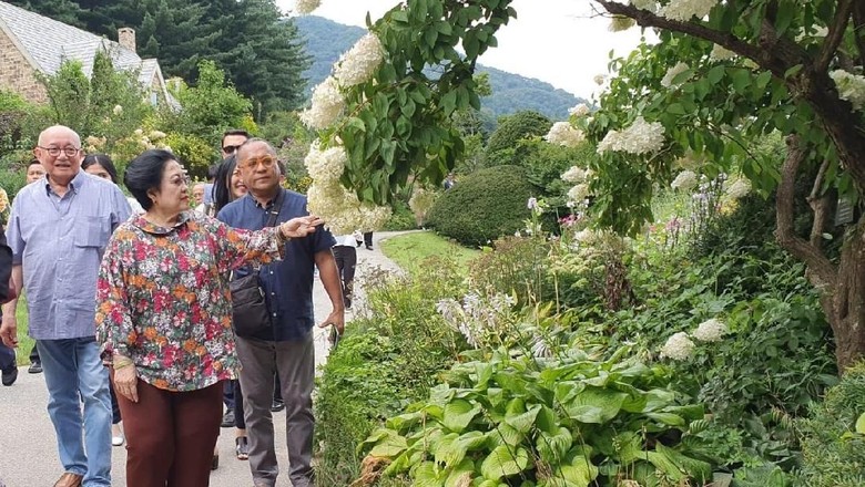 Kunjungi Taman Kota di Korsel, Mega Sarankan RI Perbanyak Kebun Raya Kunjungi Taman Kota di Korsel, Mega Sarankan RI Perbanyak Kebun Raya