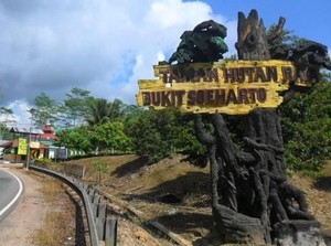 Mengenal Lagi Bukit Soeharto yang Tiba-tiba Masuk Ibu Kota Baru