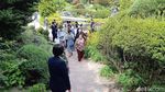 Megawati Nikmati Keindahan The Garden of Morning Calm di Korsel