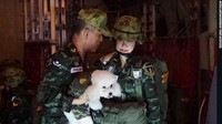 Foto ini menunjukkan momen saat Sineenat dan Raja Vajiralongkorn sama-sama berseragam militer. Kumpulan foto-foto langka yang dirilis Kerajaan Thailand terdiri daris 60 foto Sineenat, baik yang diambil secara candid maupun yang menunjukkan Sineenat sedang beraksi. Sedangkan biografinya terdiri atas 46 halaman. Foto: Thailands Royal Office/AFP/Getty Images via CNN