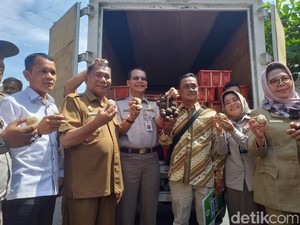 Salak Madu Deliserdang Go Internasional, 400 Kg Diekspor Perdana ke Thailand