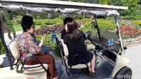 Beberapa kali Megawati turun dari mobil golf. Dia berjalan kaki dan memperhatikan lebih dekat bunga-bunga beraneka warna dan jenis. Sesekali dia mencium aroma bunga dan antusias mendengar penjelasan terkait bunga-bunga dan pepohonan di taman ini.  