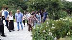 Megawati Nikmati Keindahan The Garden of Morning Calm di Korsel