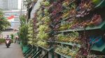 Solusi Terbatasnya Lahan Hijau lewat Taman Vertikal