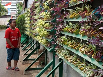 Solusi Terbatasnya Lahan Hijau lewat Taman Vertikal