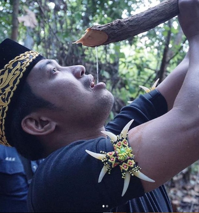 Momen Makan Bupati Penajam Hingga Rahasia Pola Makan Orang Korea