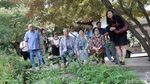 Megawati Nikmati Keindahan The Garden of Morning Calm di Korsel