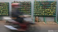 Hal itu dilakukan agar terciptanya lingkungan yang bersih, hijau, asri dan nyaman.