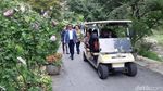 Megawati Nikmati Keindahan The Garden of Morning Calm di Korsel