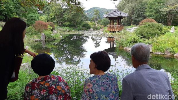 Megawati Nikmati Keindahan The Garden of Morning Call di Korsel