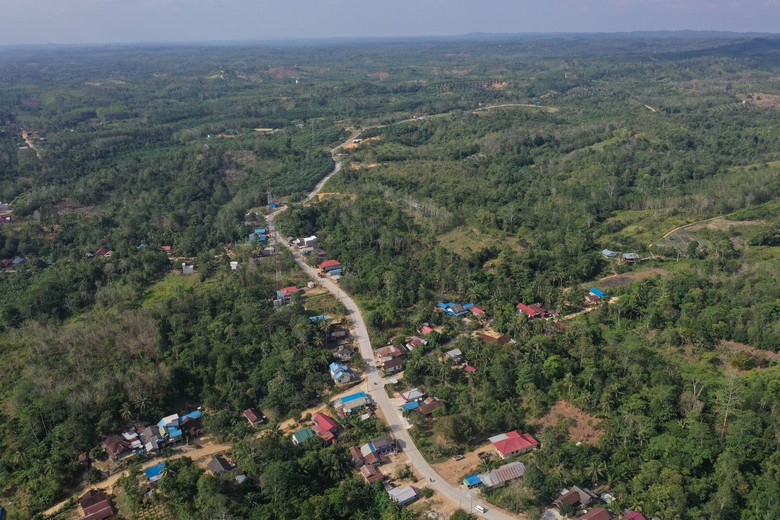 Lele Spesies Baru Ditemukan di Sungai Mahakam, Kutai Kartanegara