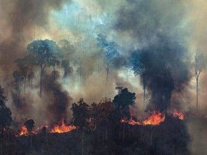 Brasil Bersedia Terima Bantuan Rp 315 M dari G7 Jika Macron Minta Maaf