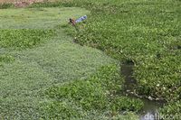 Melihat Kemunculan 'Pulau Sampah' Saat Sungai Citarum Mengering