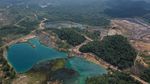 Begini Kondisi Lingkungan di Lokasi Calon Ibu Kota Baru