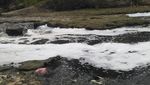 Sungai Cileungsi Tercemar: Air Hitam Berbusa-Ikan Mati Bergelimpangan