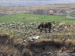 Melihat Kemunculan Pulau Sampah Saat Sungai Citarum Mengering
