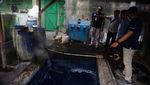 Sungai Cileungsi Tercemar: Air Hitam Berbusa-Ikan Mati Bergelimpangan