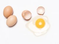 Makan Telur Mentah, Sehat atau Justru Berbahaya?