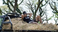 Denny juga akan naik mobil pick up berisi jerami, dan menumpang menuju Djawatan. Hutan instagramable di sana (MTMA)