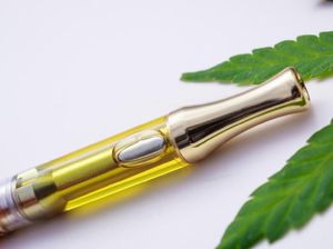 Banyak Kasus Kerusakan Paru di AS, Pengguna Vape di Indonesia Tak Takut?