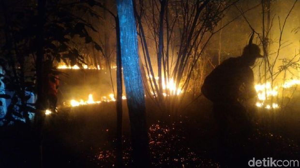 BPBD: 10 Hektare Lahan Perhutani di Alas Kethu Wonogiri Terbakar