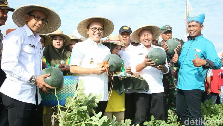 Panen Raya Semangka, Bupati Anas Ajak Petani Garap Produk Turunan Panen Raya Semangka, Bupati Anas Ajak Petani Garap Produk Turunan