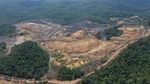 Begini Kondisi Lingkungan di Lokasi Calon Ibu Kota Baru