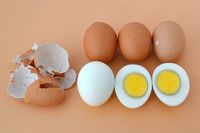 Jelang Haid Konsumsilah 7 Makanan Ini Agar Tak Alami Kram Perut