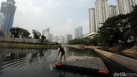 Petugas harian lepas (PHL) dari Unit Pengelola Kebersihan (UPK) Badan Air Dinas Lingkungan Hidup DKI Jakarta menyusuri waduk untuk membersihkan sampah.