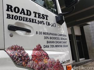 Airlangga Yakin Penerapan Biodiesel 30% Bisa Hemat Devisa Rp 112 T