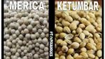 10 Meme Kocak Soal Bumbu Dapur Ini Bikin Ngakak