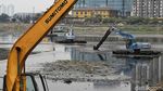 Begini Kondisi Waduk Pluit yang Alami Pendangkalan