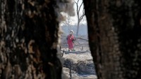 Petugas pemadam kebakaran dikerahkan untuk memadamkan api yang membakar wilayah tersebut. David Mercado/Reuters.